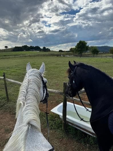 BSET Academy campus and students