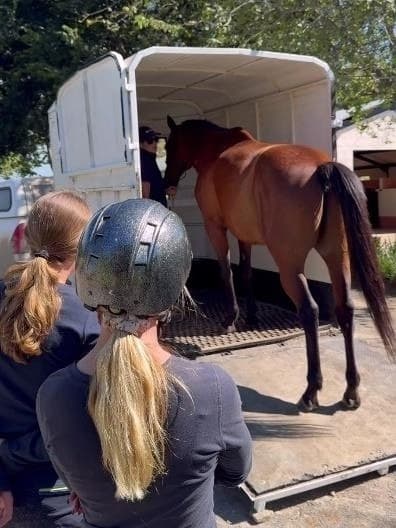 Students practising EKWOS Horsemanship
