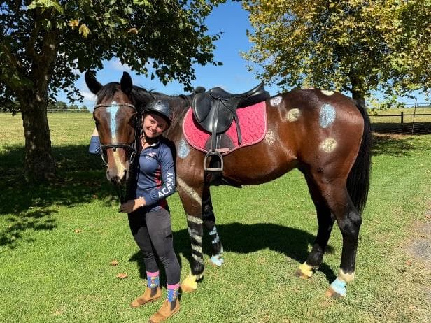 Equine dissection learning at BSET Academy