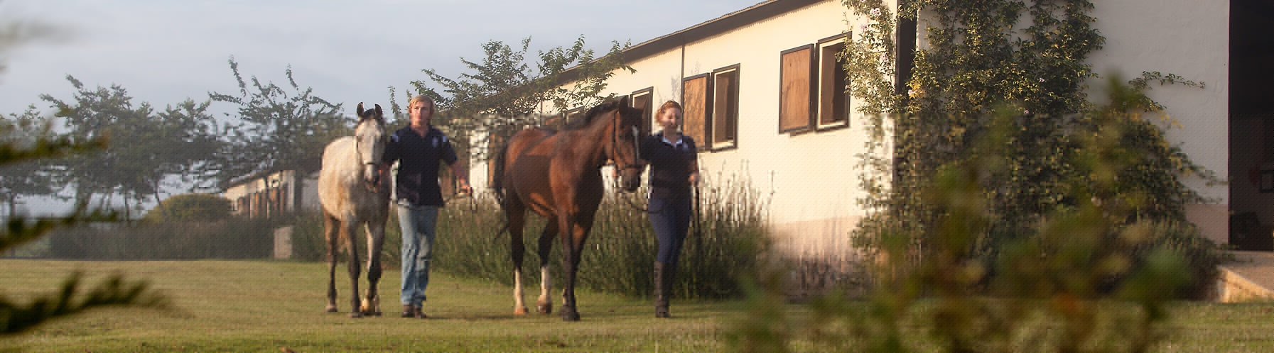 BSET Academy stables and horses
